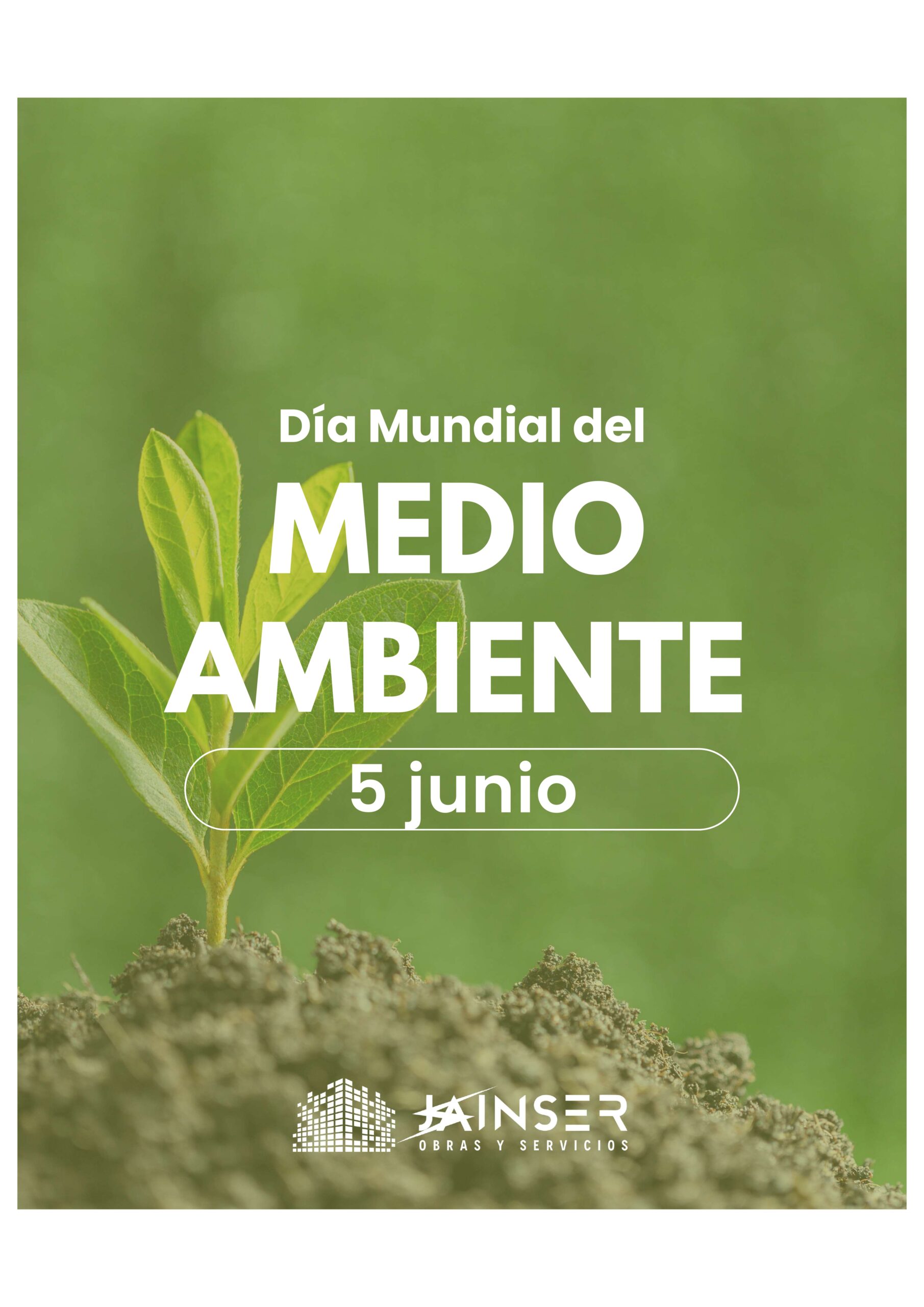  5 de junio | Día Mundial del Medio Ambiente